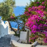 Descubriendo la Magia de Grecia en Primavera