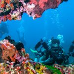 Aventuras Submarinas en Indonesia: Una Odisea Turística
