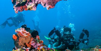 Aventuras Submarinas en Indonesia: Una Odisea Turística